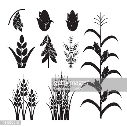 Simple Agricultural Crops Icons Clipart Image