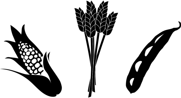 Free Soybean Stalk Cliparts, Download Free Clip Art, Free