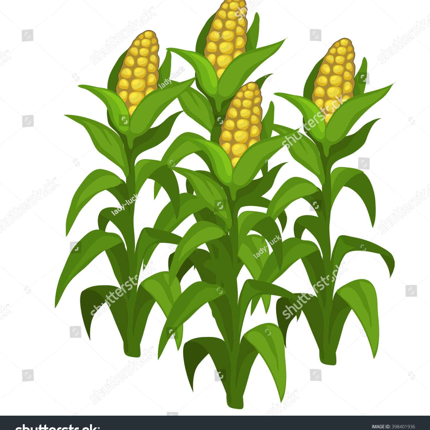 Corn Clipart