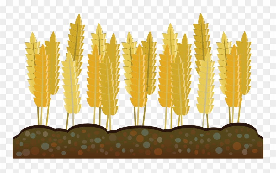 Vector Freeuse Agriculture Clipart Crop