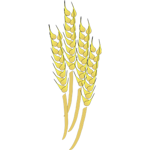 Wheat crop clipart