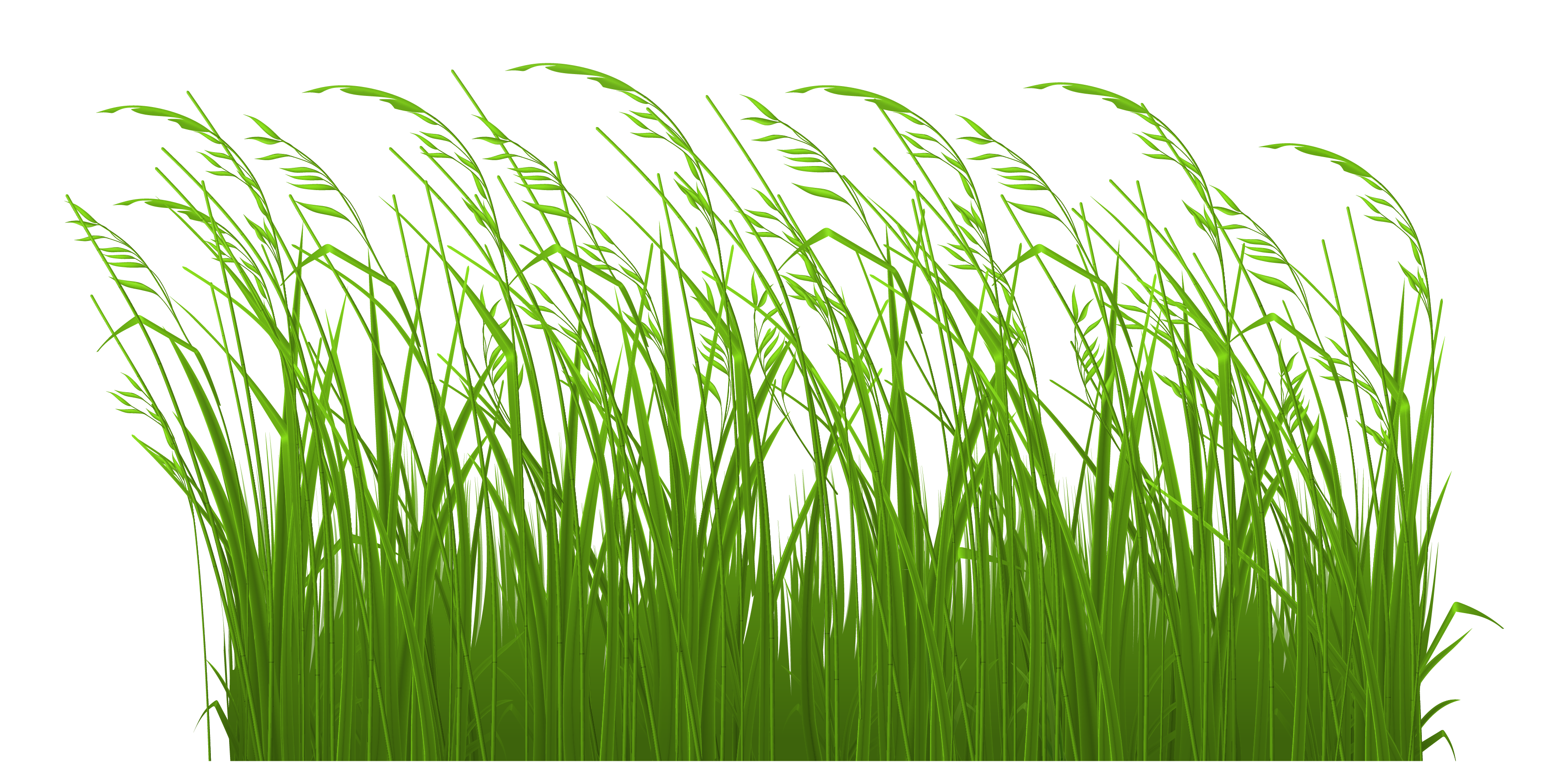 Crops clipart wheat grass, Crops wheat grass Transparent