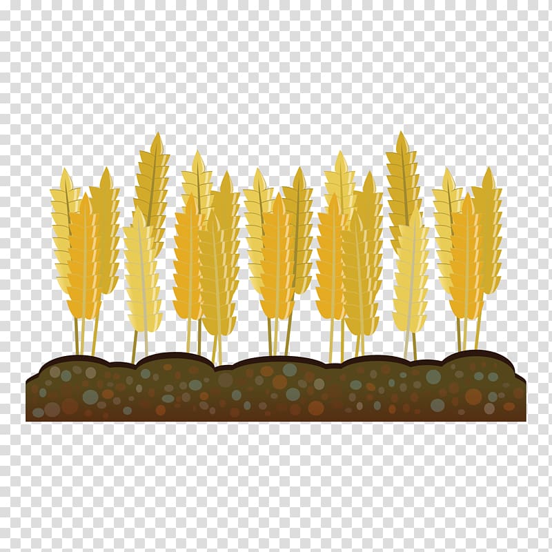 Crop Farm Agriculture Harvest , wheat transparent background