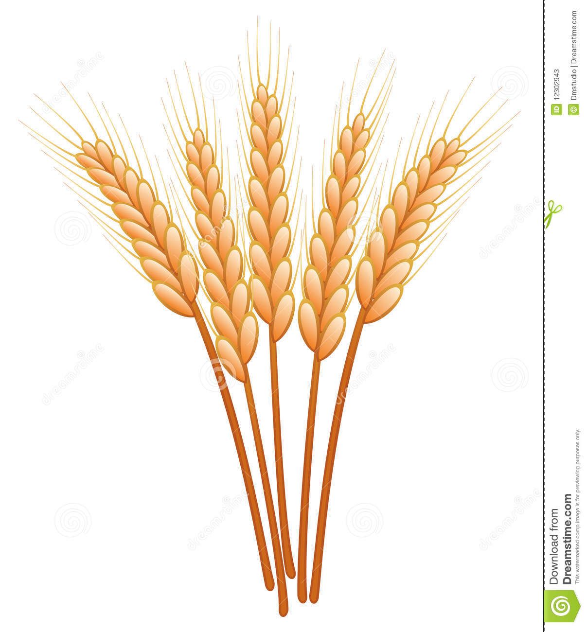 Wheat crops clipart.