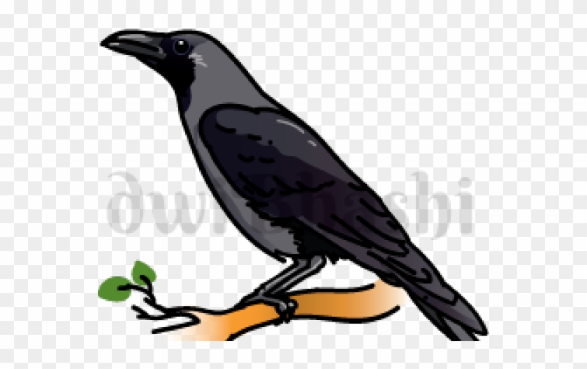 Banner Library Stock Crow Clipart Primitive
