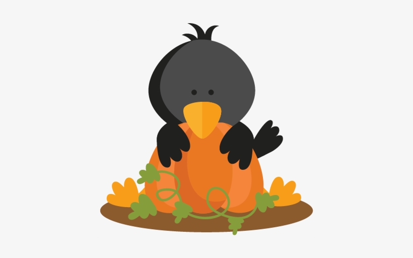 Crow behind pumpkin.