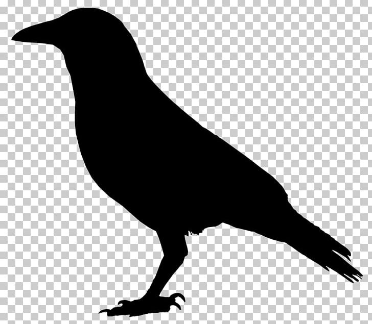 Crows drawing png.