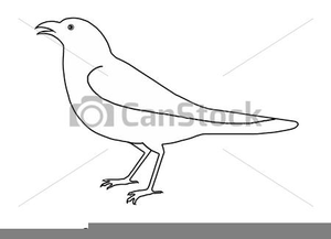 Crow clipart drawing.