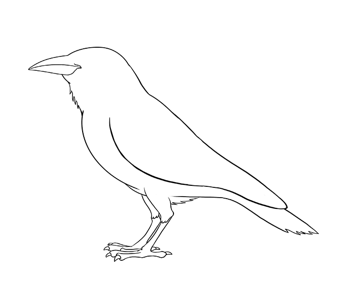 Crow clipart easy draw, Crow easy draw Transparent FREE for