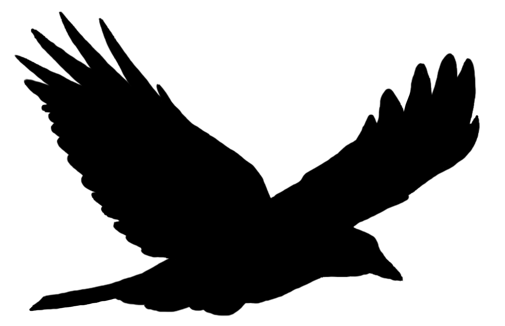 Bird flight Bird flight Common raven Clip art