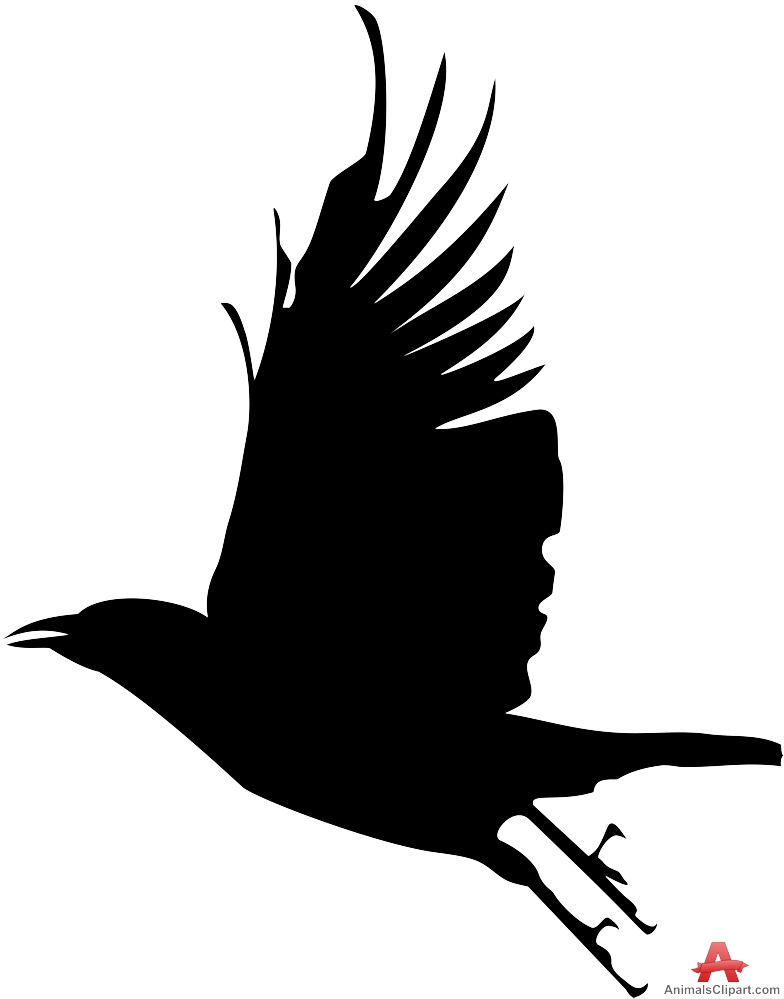 Crow silhouette flying.