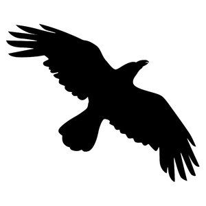Free raven silhouette.