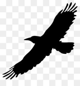 Flying Crow PNG Black And White Transparent Flying Crow