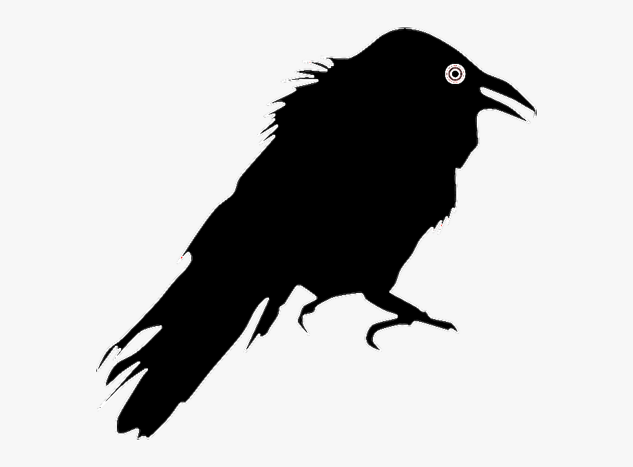 Freetoedit sticker raven.