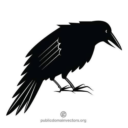 Black crow public.