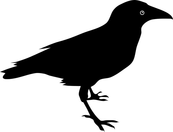 Crows clipart free.