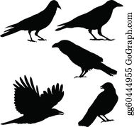 Crows clip art.