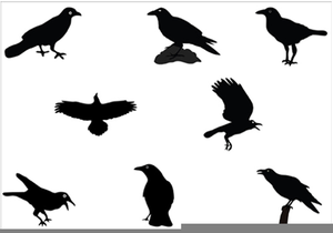 Halloween Crow Clipart