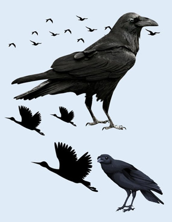 crow clipart scary