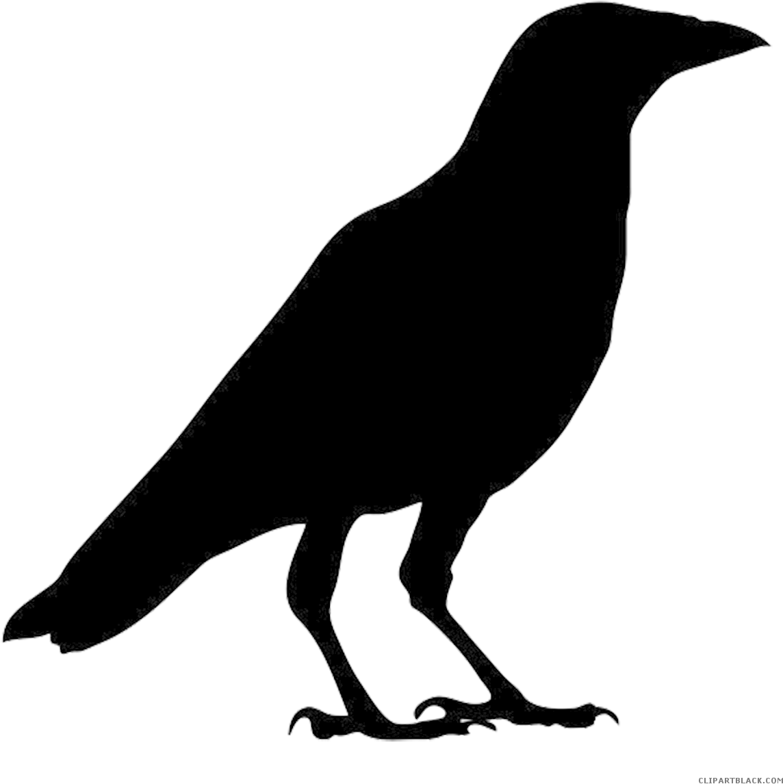 Free crow silhouette.
