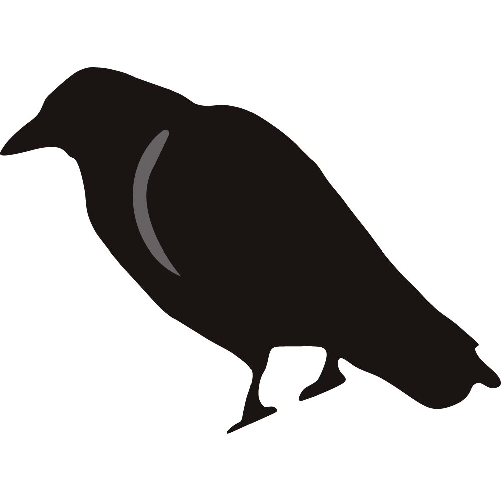 Simple black crow.