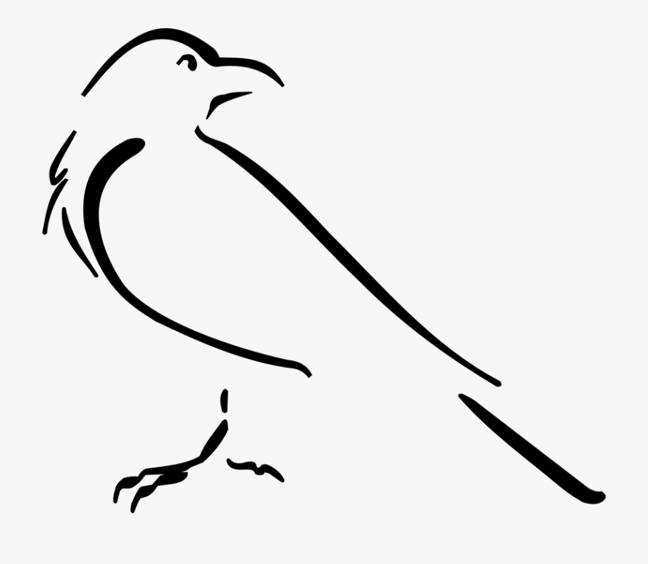 Crow Clipart Easy Draw