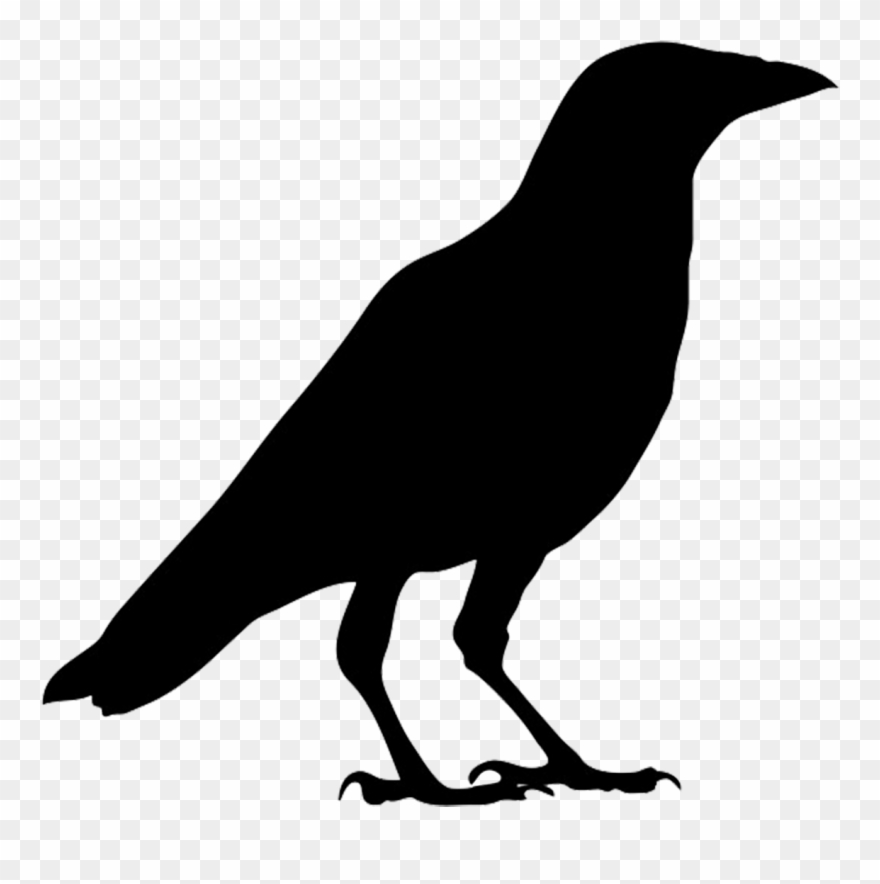 Crow Clipart Clipartfox