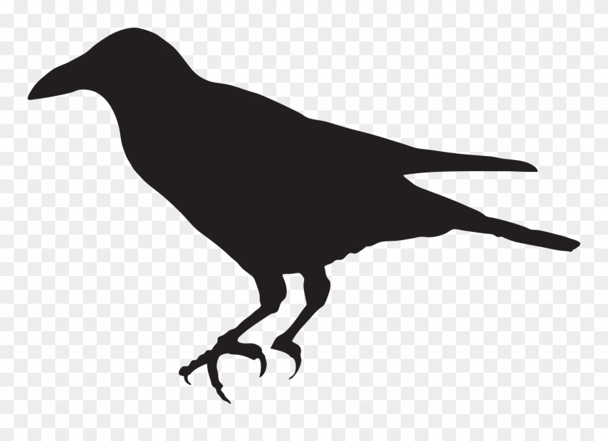 Crow Silhouette Png Clip Art Image