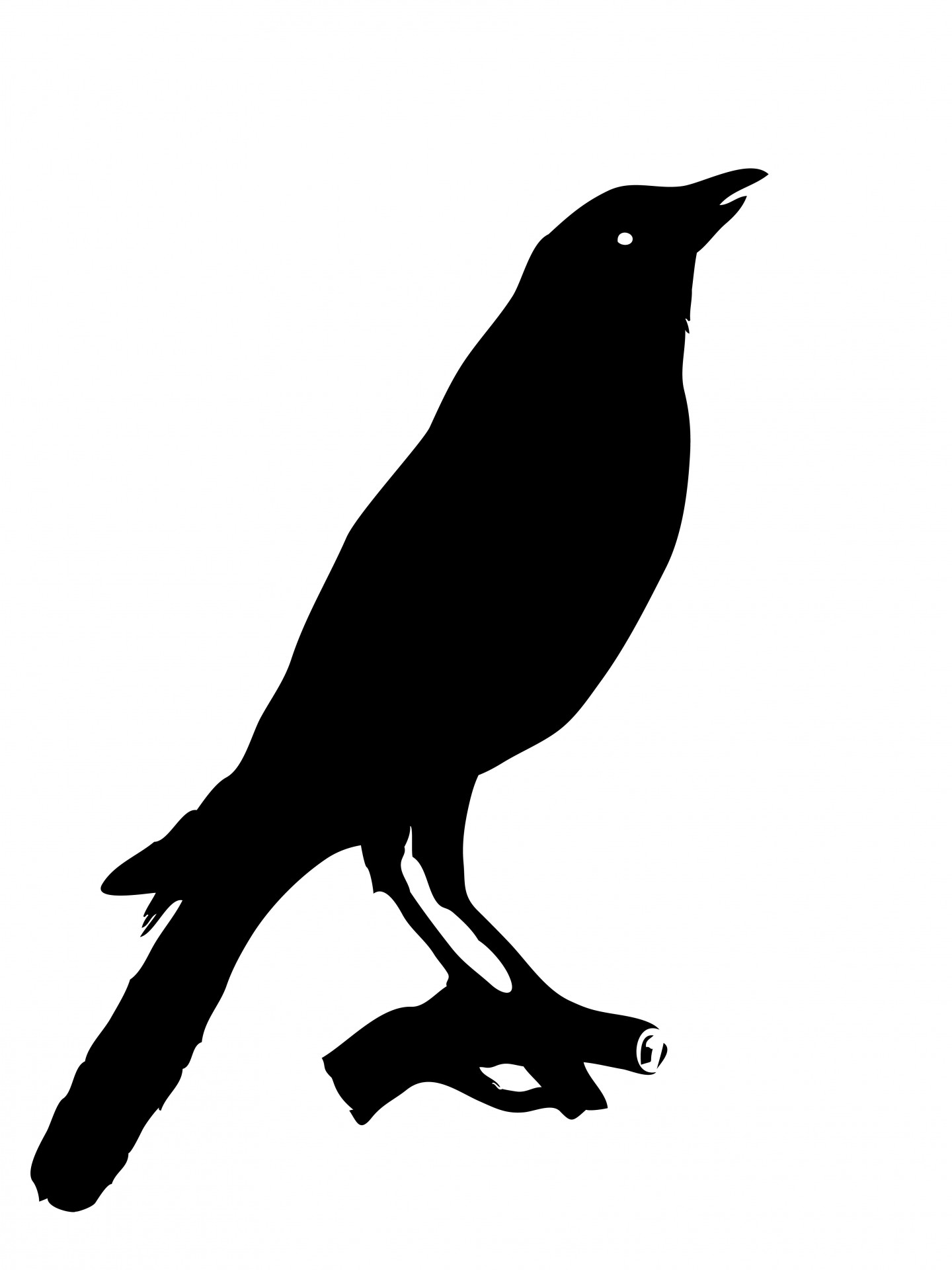 crow clipart sitting