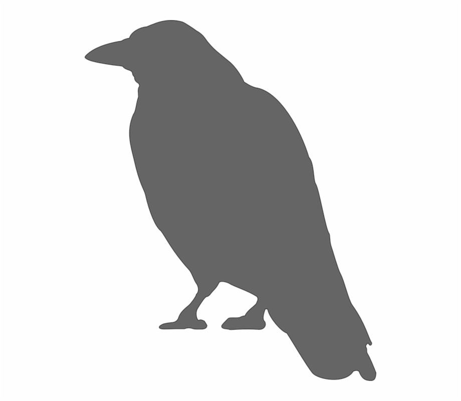 crow clipart sitting