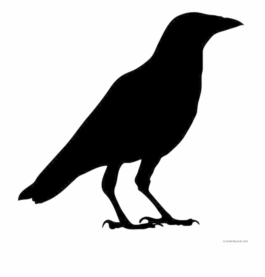 Crow clipart silhouette.