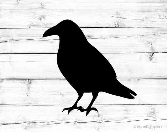 Crow Svg Halloween Svg Crow Silhouette Svg File for Cricut