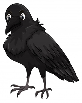Crow Vectors, Photos and PSD files