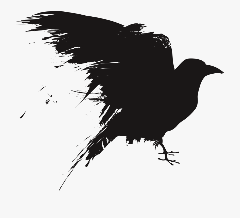 Crows vector game.