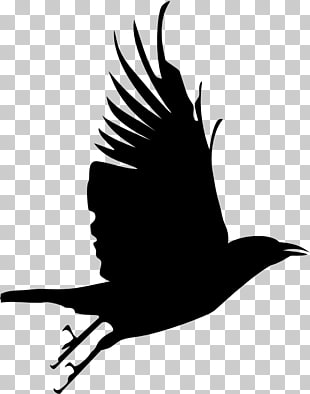 crow clipart vector
