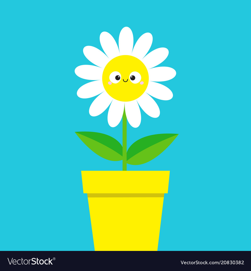 White daisy chamomile with smiling face head cute