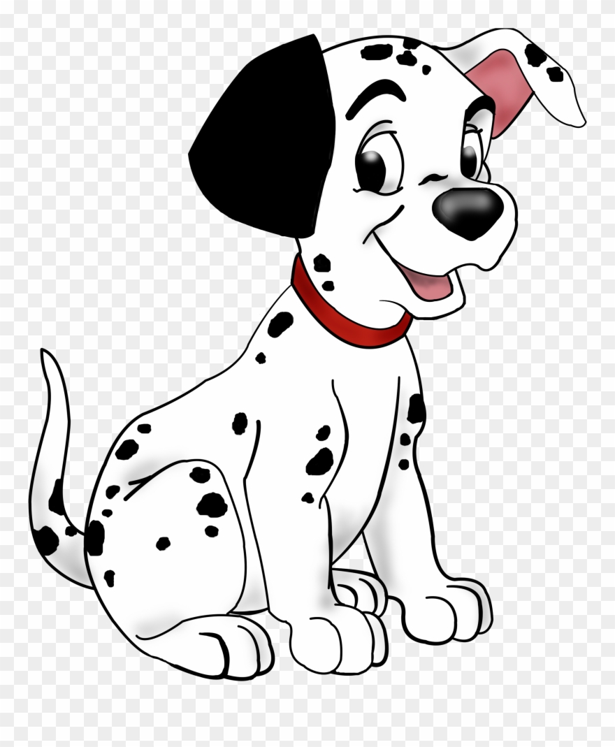 Dalmatian Dog Puppy