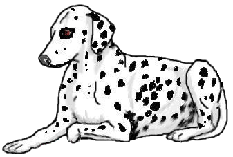 Dogdalmatianmammalvertebratecanidaedog breedcarnivore .