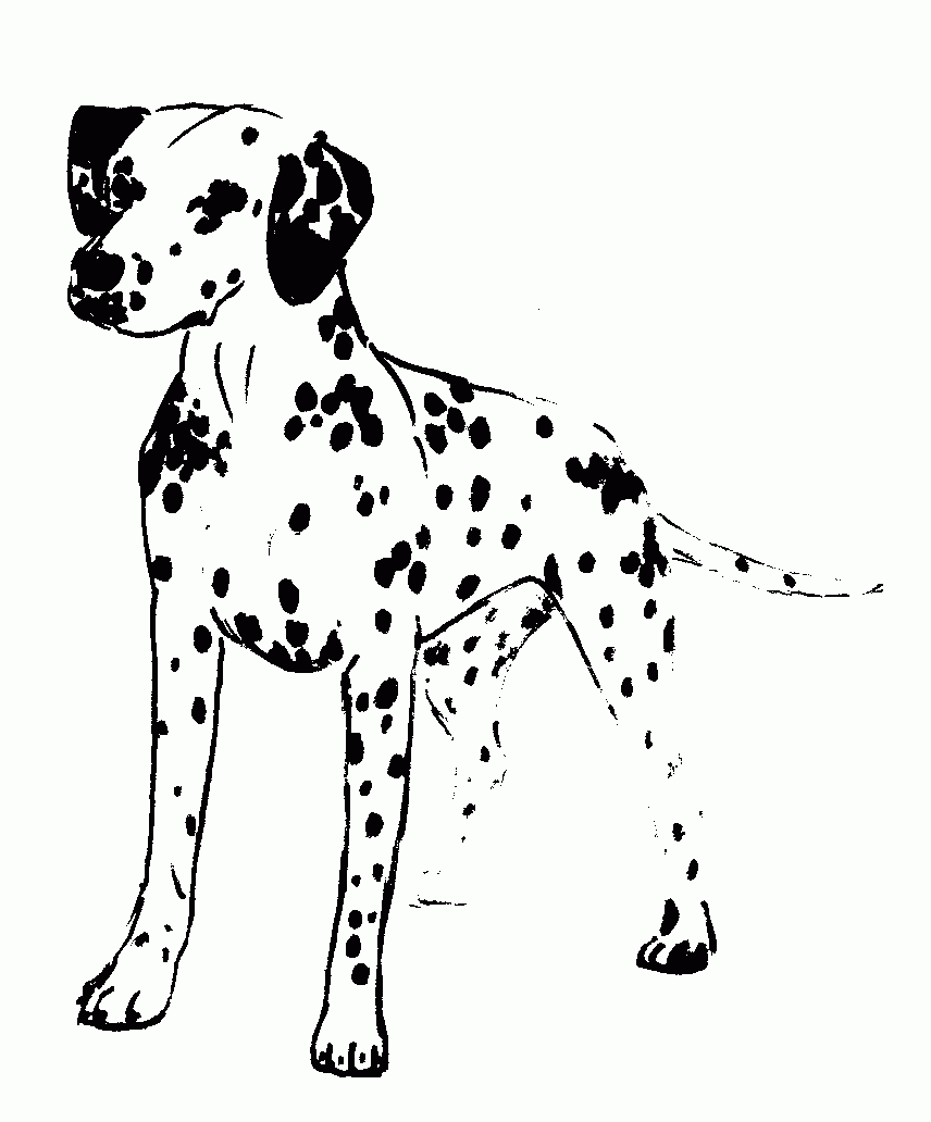 Free Dalmatian Dog Coloring Page, Download Free Clip Art