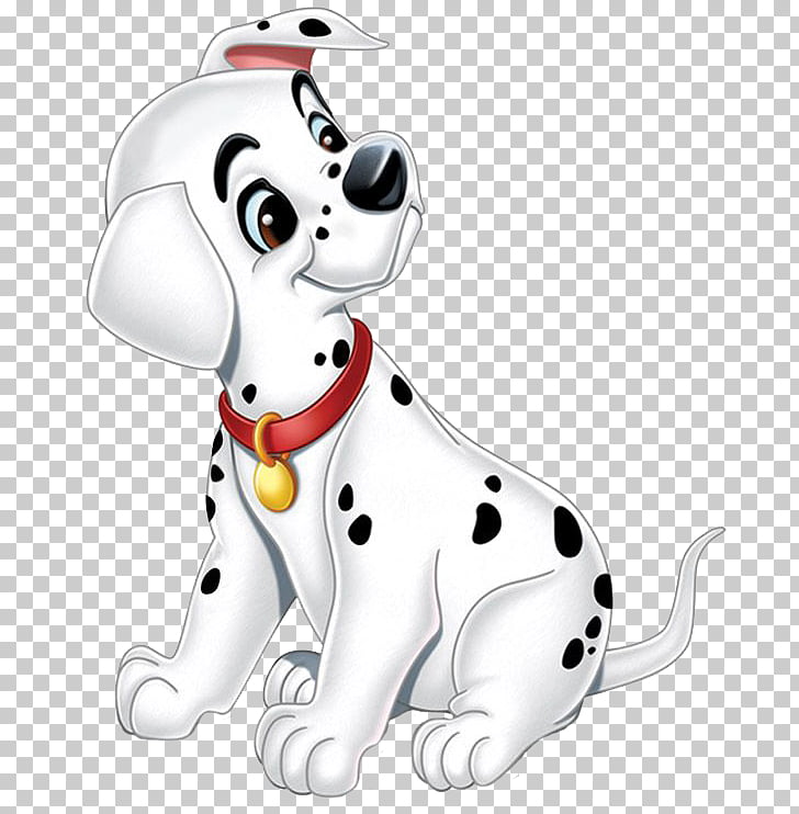 Dalmatian dog puppy.
