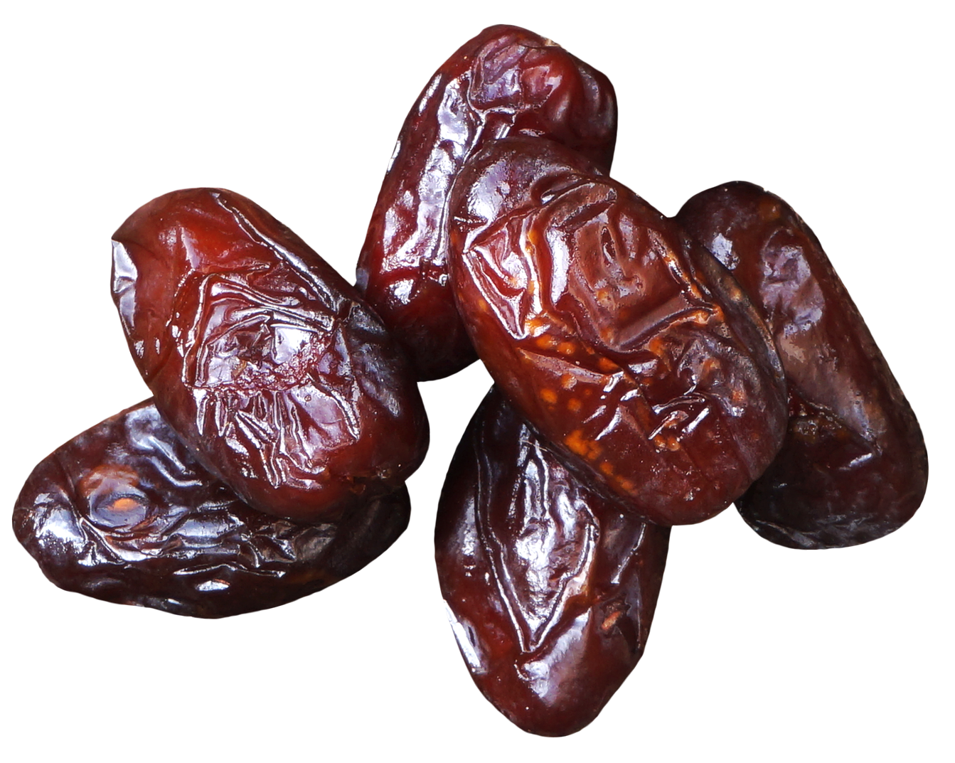 Date palm png.