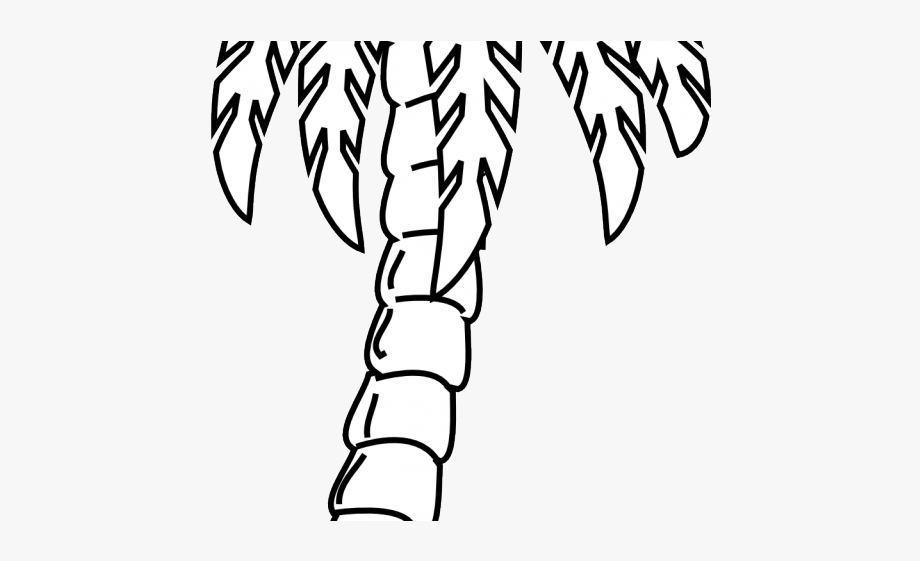 Palm Tree Clipart Black And White