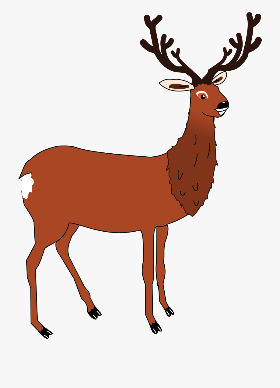 Free Clipart Of A Buck Deer