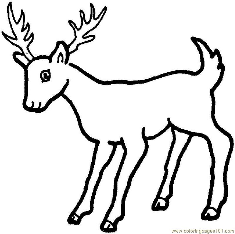 Deer clipart color.