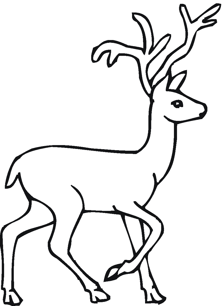 The deer color.