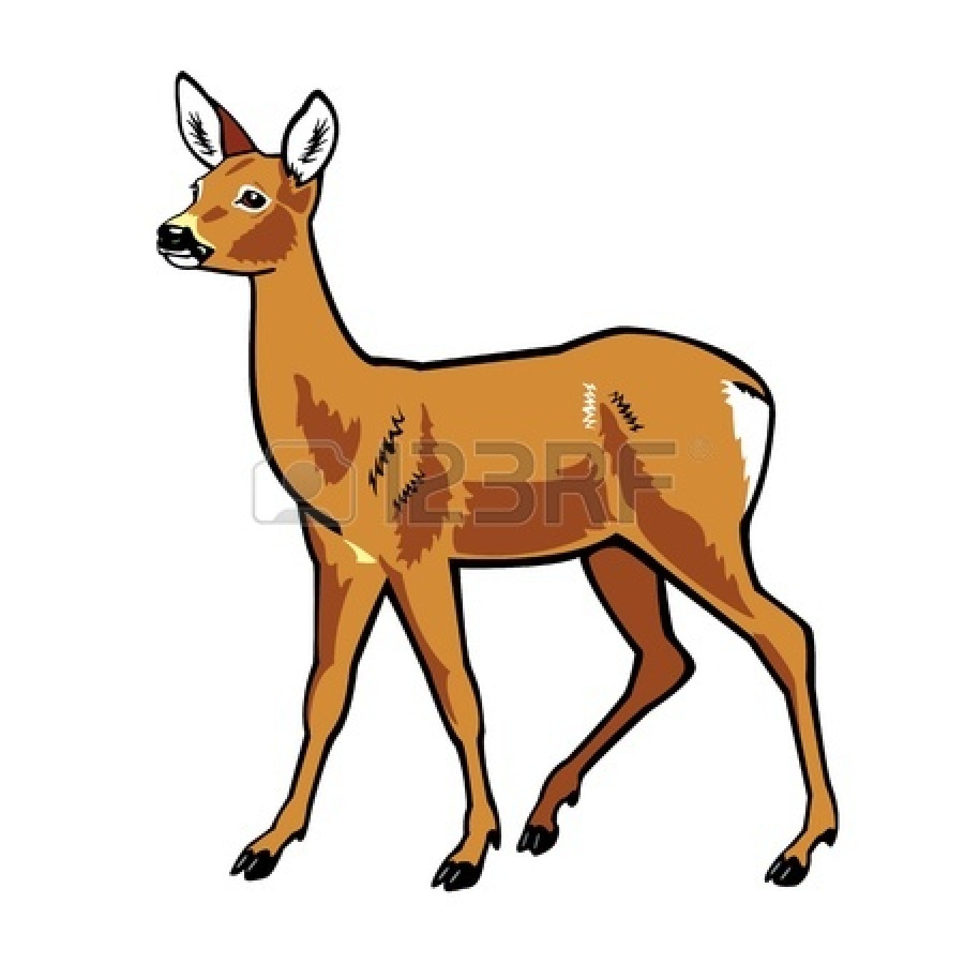 Collection of Doe clipart