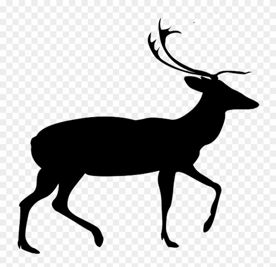 Vector Free Library Buck And Doe Clipart