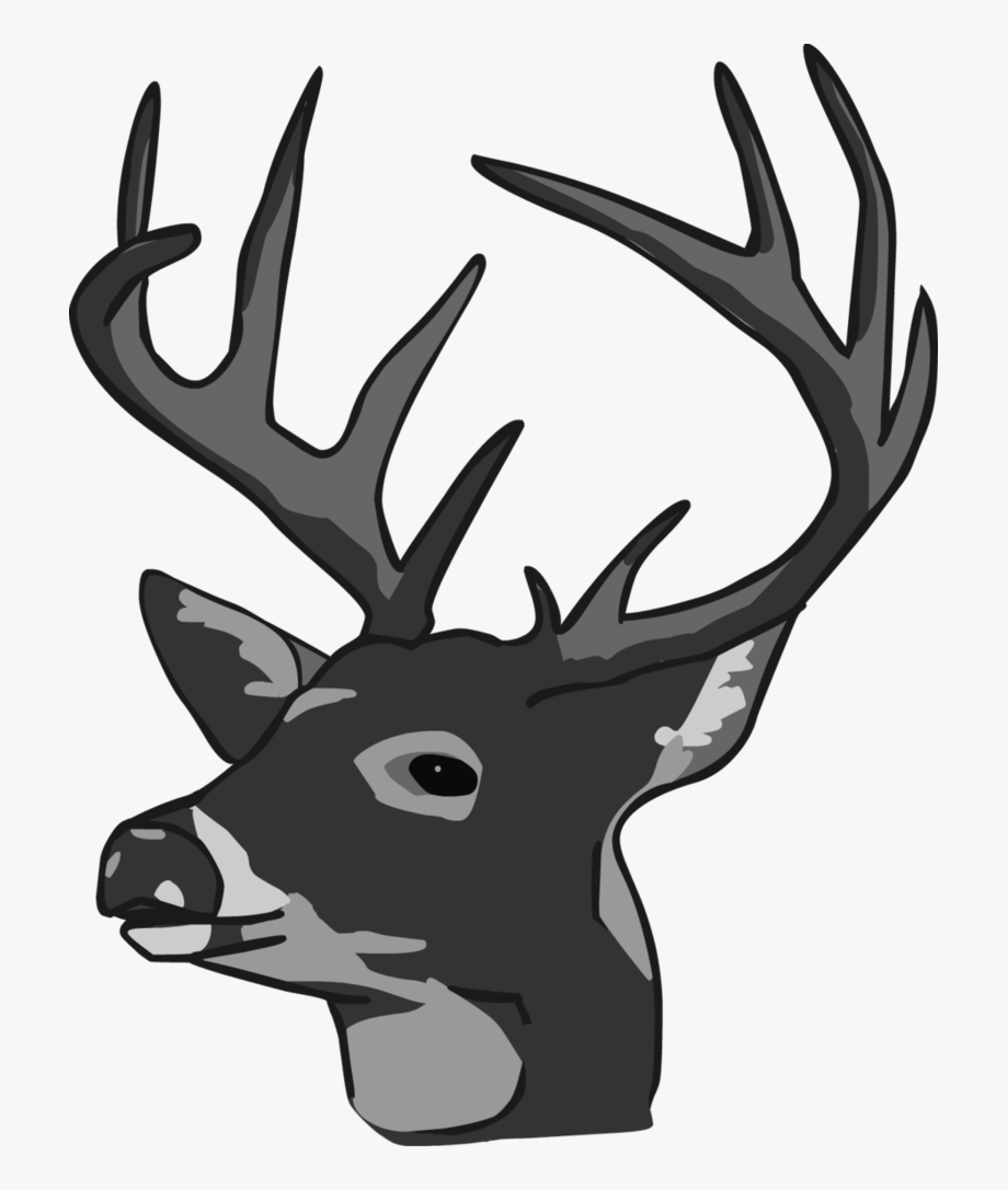 Deer Head Picture