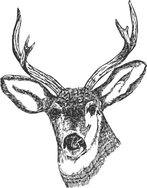 Free Deer Head Cliparts, Download Free Clip Art, Free Clip
