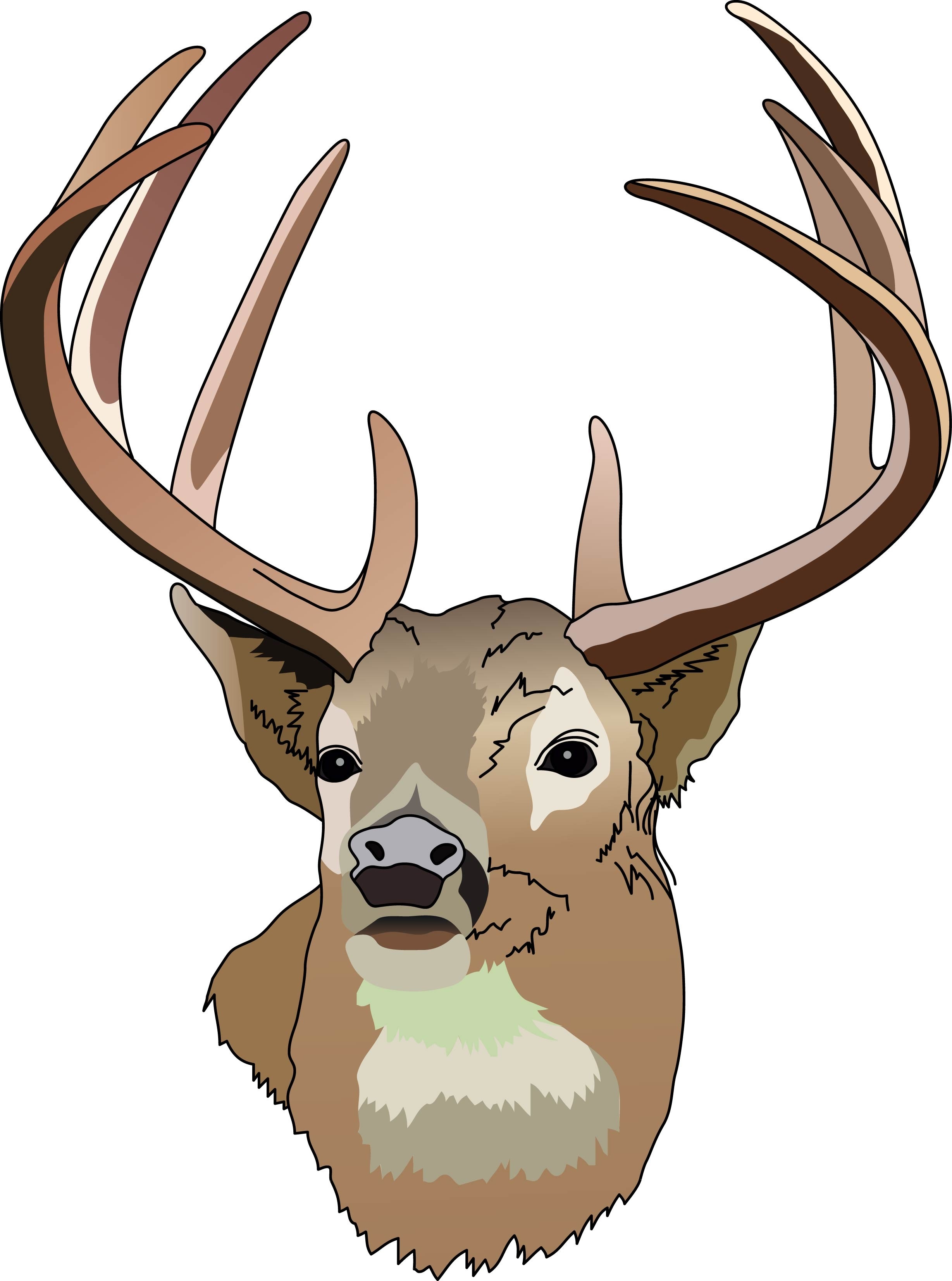 Deer hunting clipart.